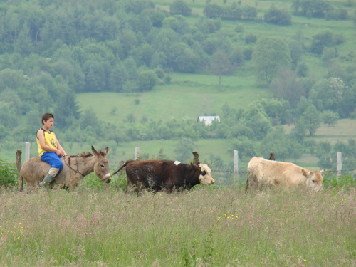 ''Cowboy'' de Ocna (c) eMM.ro